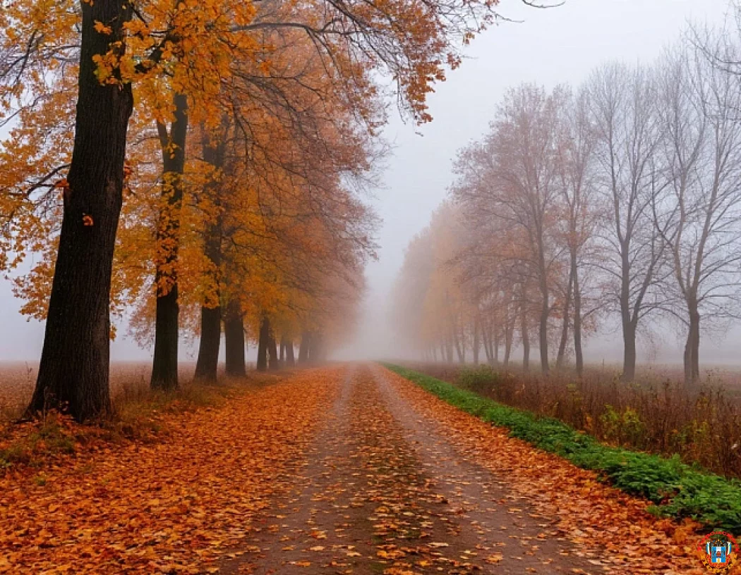 11 ноября ожидаются густой туман и дожди в Ростовской области