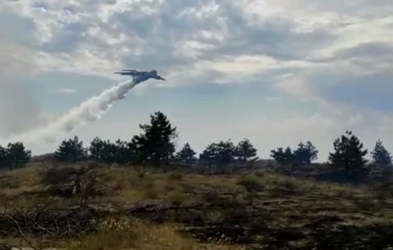 Губернатор Ростовской области назвал причину лесного пожара в Усть-Донецком районе