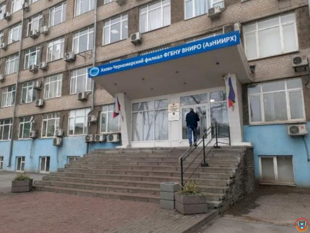 Филиал института рыбного хозяйства в Ростове оставили без охраны в 2022 году