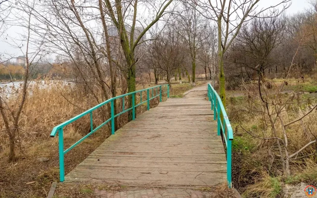 Сколько деревьев вырубят в ростовском парке «Дружба»?