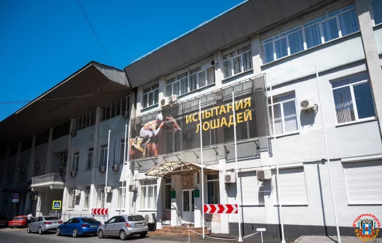 У ростовских конников осталась неделя до закрытия ипподрома