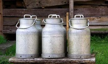 В Боковском районе обнаружили 800 литров «ничейного» молока