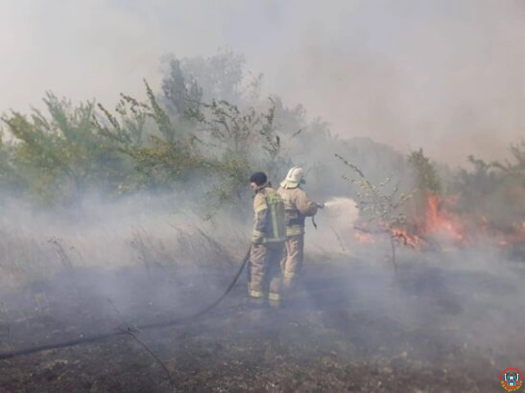 В Ростове рядом с садовым товариществом произошел крупный ландшафтный пожар