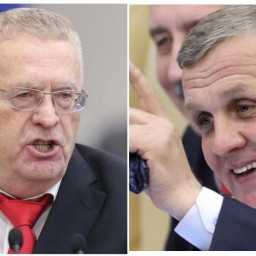 Владимир Жириновский назвал депутата от КПРФ Коломейцева «ростовским валенком» и получил выговор