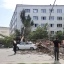На Мечникова в Ростове упавшее дерево повредило три легковушки 1