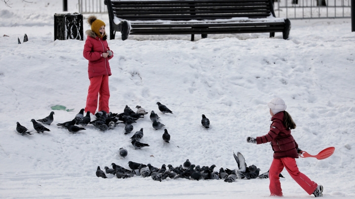 В Госдуме предложили продлить зимние школьные каникулы