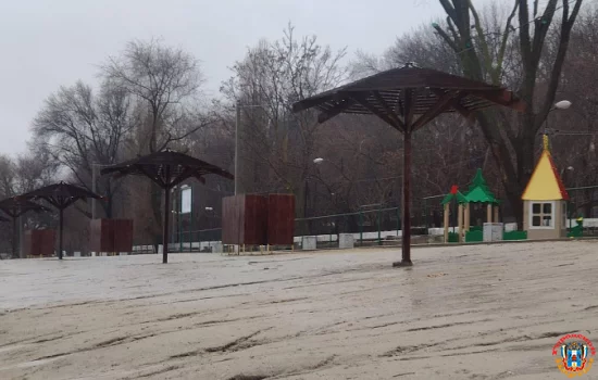 Аферу с вырубкой деревьев в парке "Дружба", подтвердил суд Ростова
