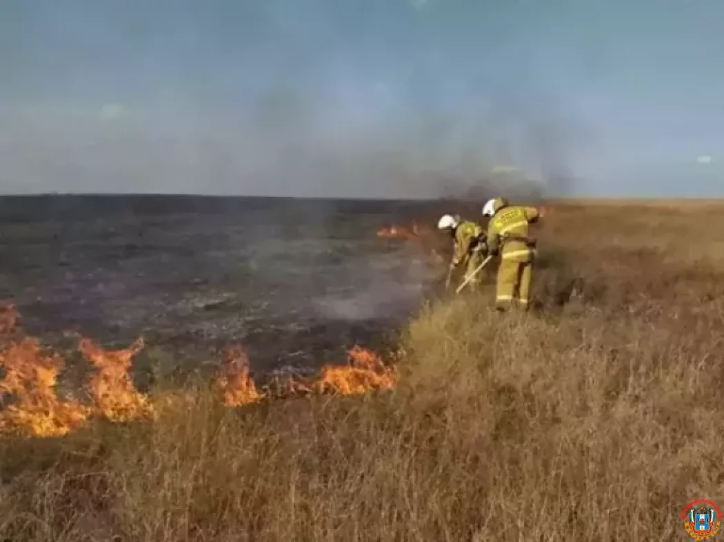 Чрезвычайную пожароопасность объявили на Дону