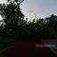 Поваленные деревья, разбитые машины: на Ростов налетел сильный шторм 3
