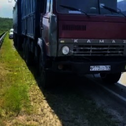 На трассе Миллерово - Луганск 11-летняя девочка погибла под колесами КамАЗа