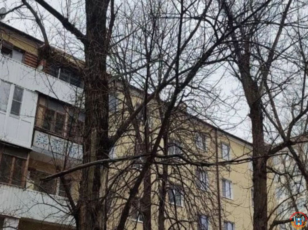 Над головами пешеходов повисли сломанные ветки в центре Ростова