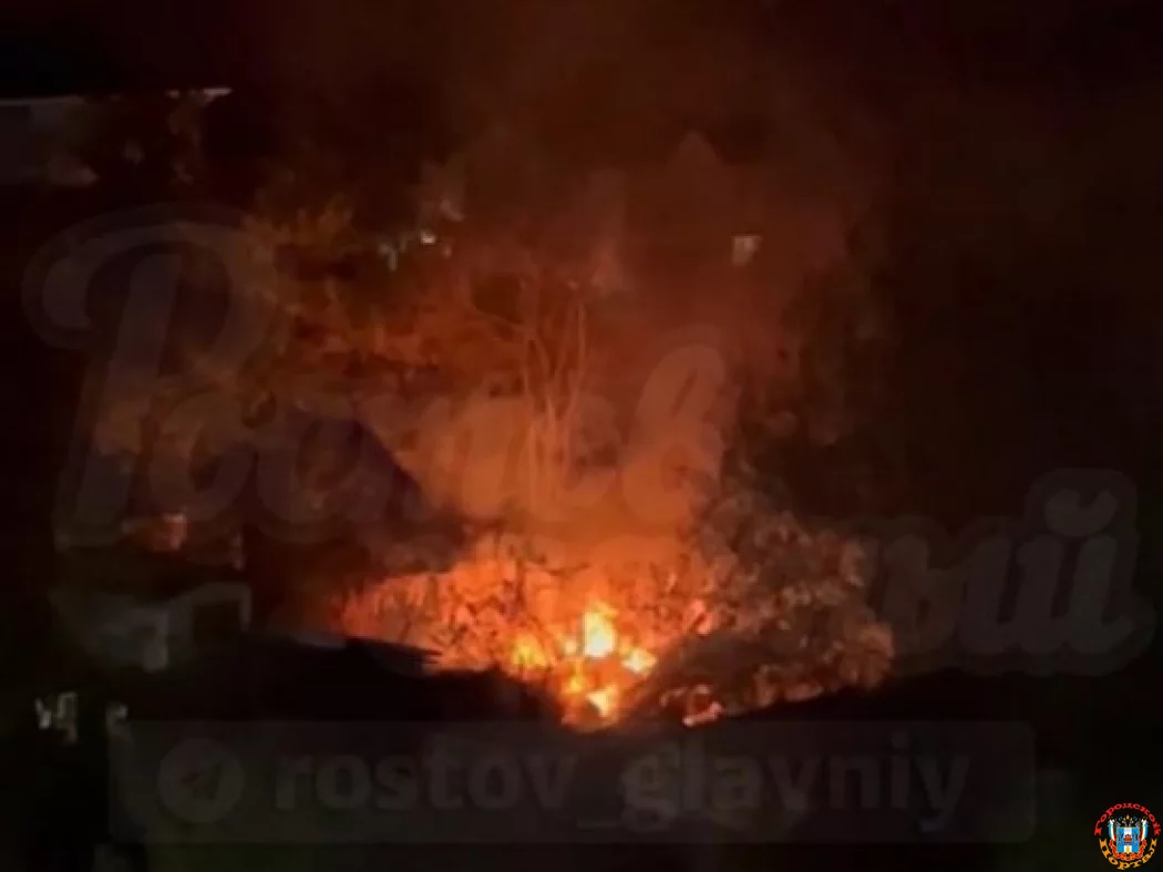 Садовый домик сгорел в Ростове на Извилистой