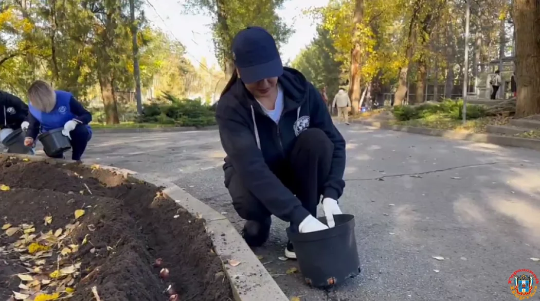 Сюрприз из тысяч тюльпанов готовят в Ростовском зоопарке Сюрприз из тысяч тюльпанов готовят в Ростовском зоопарке