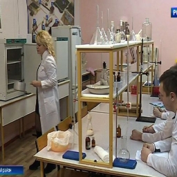 Донские ученые разработали новый вид сыра