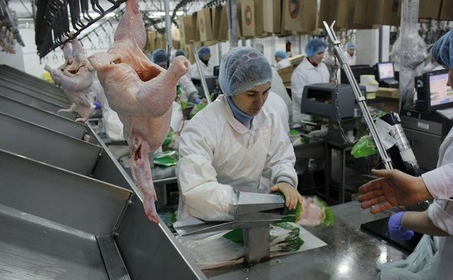 В Ростовской области за два месяца почти в два раза сократилось производство птицы и мяса