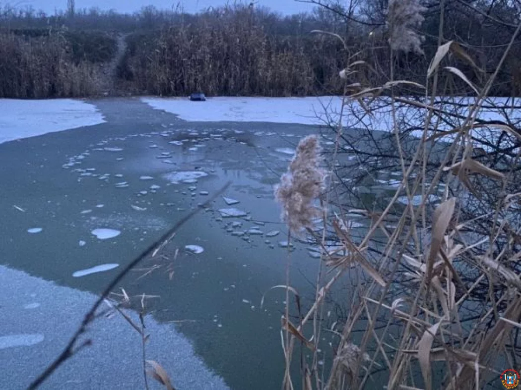 Количество происшествий на воде в Ростовской области снизилось на 75% этой зимой Количество происшествий на воде в Ростовской области снизилось на 75% этой зимой