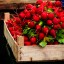 Лук, огурцы и кабачки: как ростовчанам хранить овощи весной 0