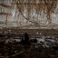 Ростов-на-мели: как выглядит обмелевшее из-за аварии Северное водохранилище 0
