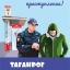 «Таганрогский трамвай» запускает агитационную программу профилактики ДТП 0