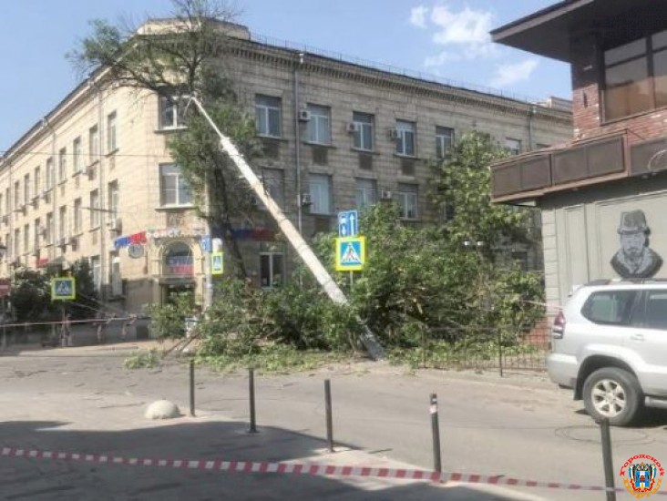 В Ростове на Центральном рынке упавшее дерево повалило столб