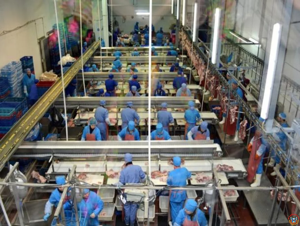 Власти Ростовской области потребовали от Евродона вернуть субсидию