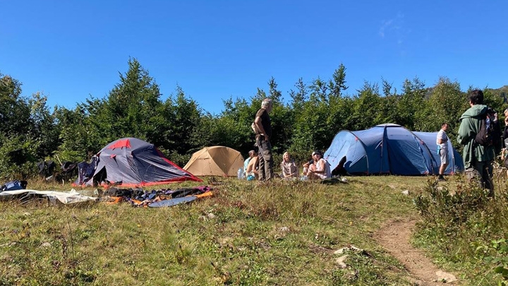 В горах Сочи медведь разорвал палатки туристов и "поиграл" на укулеле