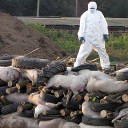 Минобороны изучит причины аномальных эпидемий в Ростовской области