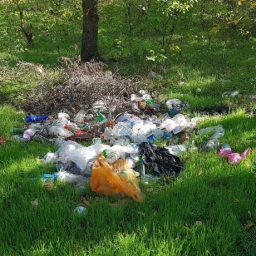 Чиновники в Семикаракорске «убирают» свалки с помощью фотошопа