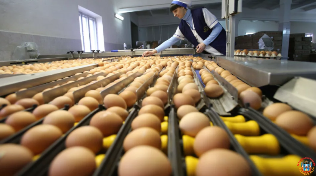 Эксперт рассказал, как поставки из Турции повлияют на стоимость яиц в Ростовской области