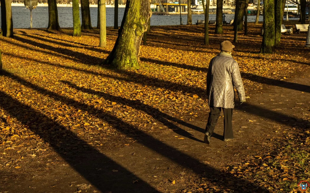 Снова потеплеет до +19 в Ростовской области