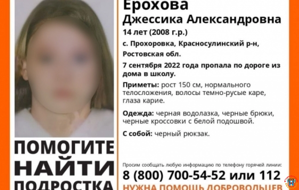 В Ростовской области нашли убитой пропавшую 14-летнюю девочку