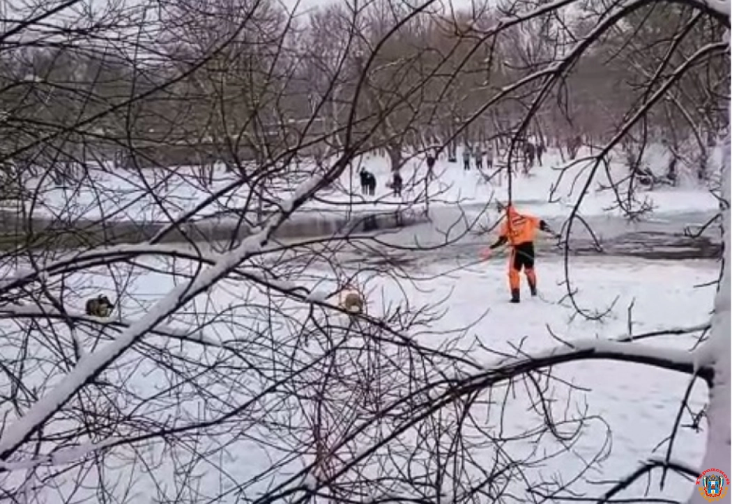 Спасатели вытащили из полыньи тонущего пса в Ростове