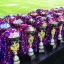 В Ростове наградили призёров и победителей Первенства города по футболу среди детско-юношеских команд 0