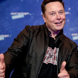 Technoking и Master of Coin: гендир и финдир Tesla придумали новые должности