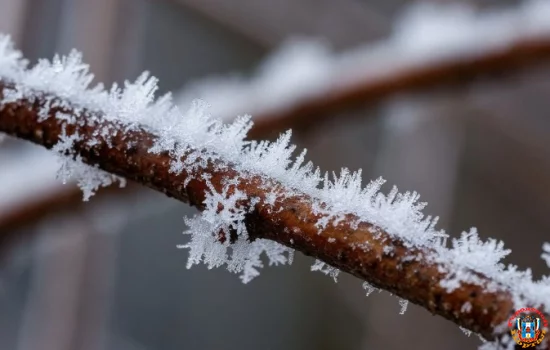 15 ноября в Ростовской области похолодает до -3 градусов