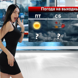 На выходных в Ростове потеплеет до +5°С