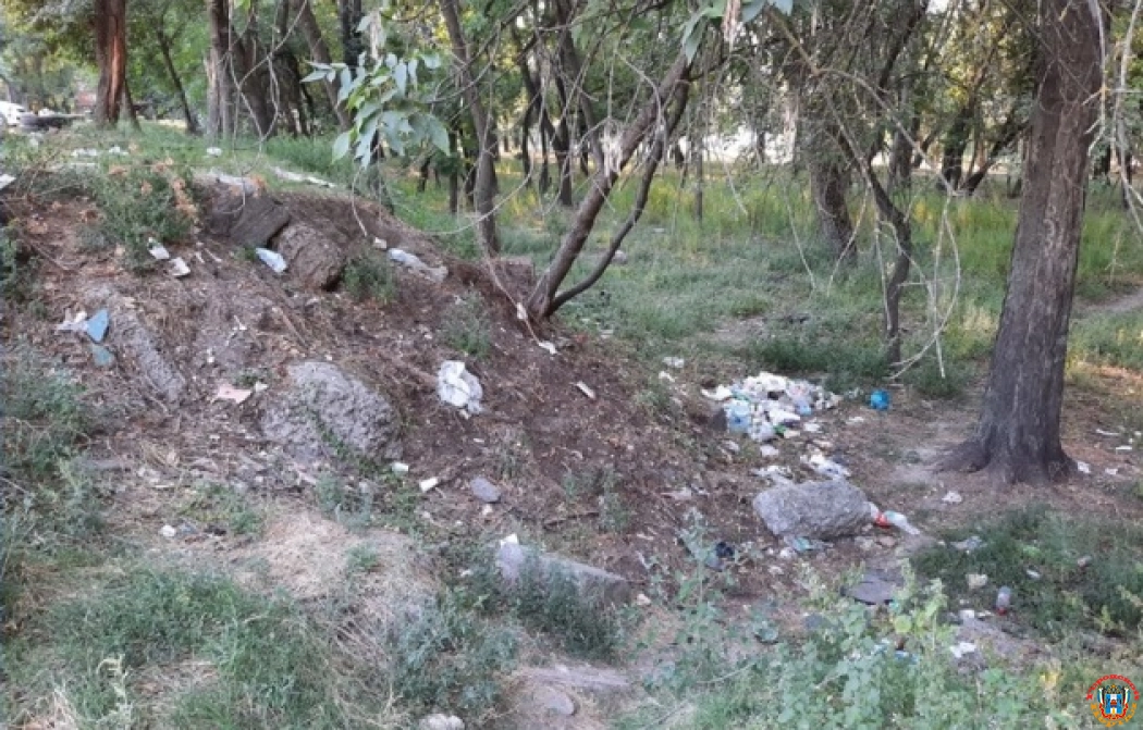 «Стыдно перед гостями города»: ростовчанина возмутили горы мусора на левом берегу Дона