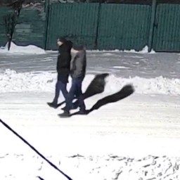 Один убит, второй ранен: подробности поножовщины в Уфе