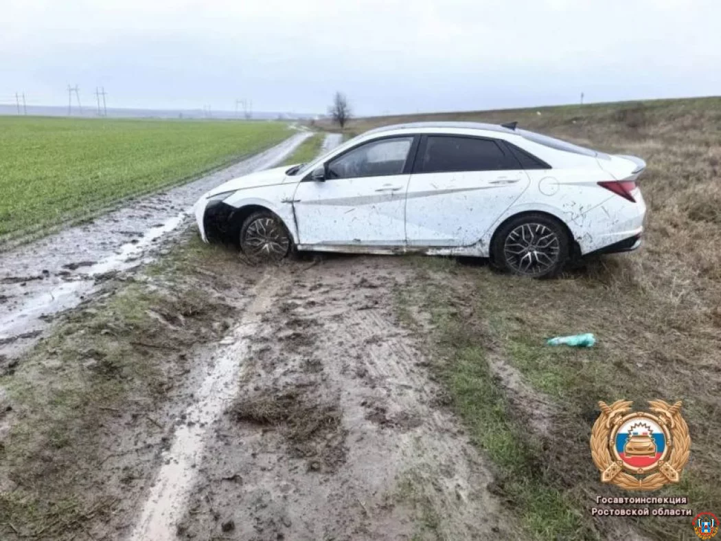 Два человека пострадали в аварии на трассе Волгодонск &ndash; Зимовники: водитель не справилась с управлением
