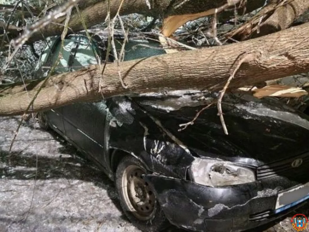 В Ростове на Таганрогской обледеневшее дерево упало и раздавило машину