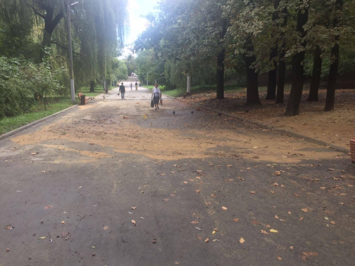 В Таганроге размыло новую детскую площадку в роще «Дубки» после дождя