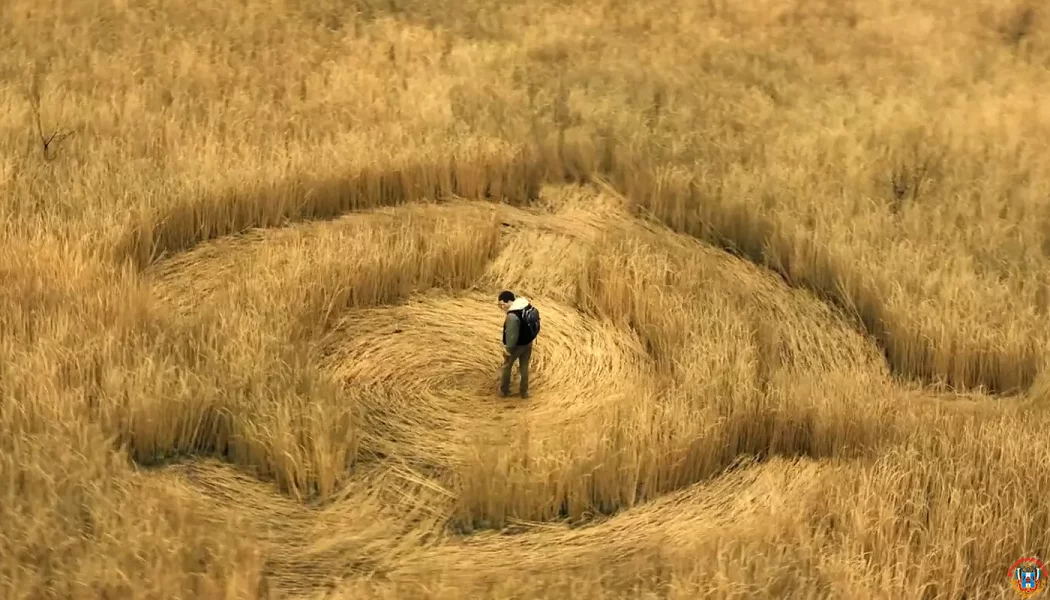 Трейлер фильма "Разоблачение" представил Стивен Спилберг