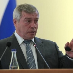 Василий Голубев не поддержал возвращение прямых выборов мэра Ростова