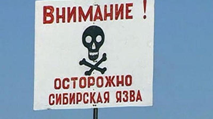 Житель Дагестана госпитализирован с подозрением на сибирскую язву Житель Дагестана госпитализирован с подозрением на сибирскую язву