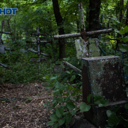 Вандалу из Ростовской области за кражу оградки с кладбища дали полгода тюрьмы