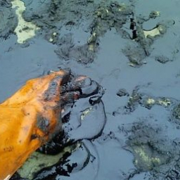 И суд ростовским нефтяникам не помеха