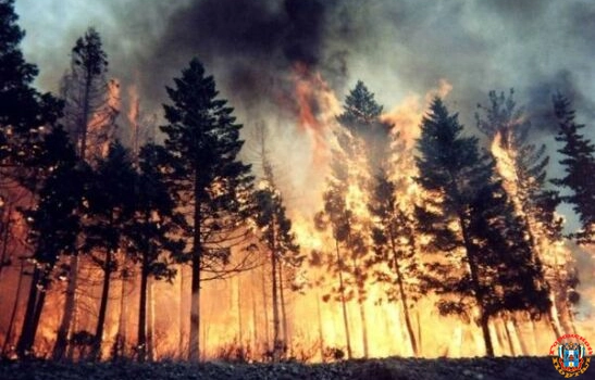 На Дону в 18 районах прогнозируют сильную пожароопасность