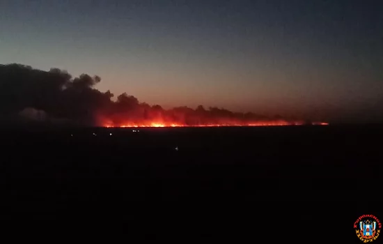 В Каменском районе площадь лесного пожара достигла порядка 200 гектар