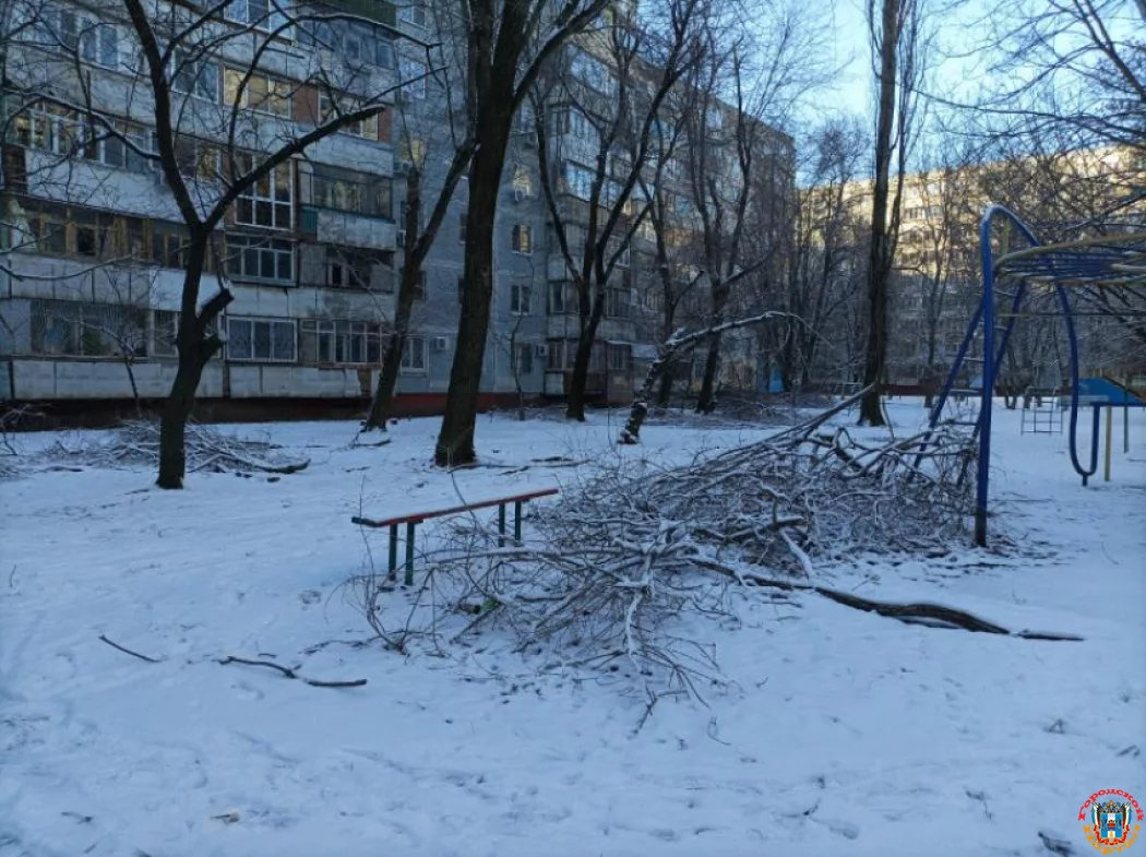 В Ростове пожаловались на не убранные с декабря упавшие ветки