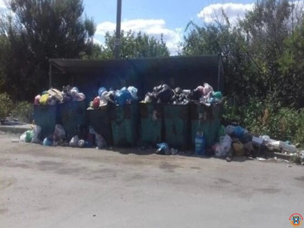 В Ростовской области люди жалуются на огромные свалки на улицах Новошахтинска